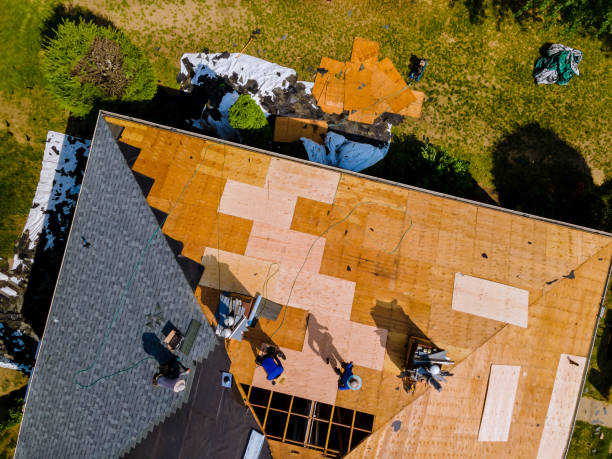 Best Commercial Roofing Services  in Lacoochee, FL